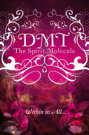 DMT: The Spirit Molecule